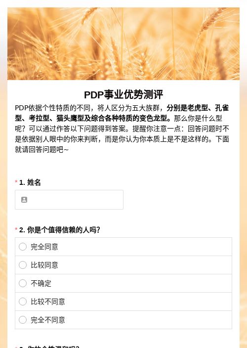 PDP事业优势测评