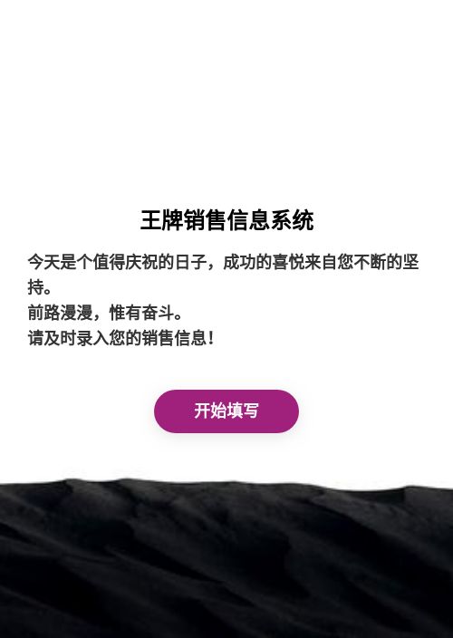 王牌销售信息系统