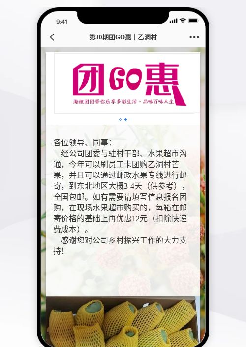 第30期团GO惠｜乙洞村芒果邮寄团购